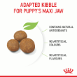 70315 - Royal Canin Dog Maxi Puppy