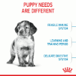 70317 - Royal Canin Dog Medium Puppy