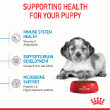 70317 - Royal Canin Dog Medium Puppy