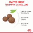 70317 - Royal Canin Dog Medium Puppy