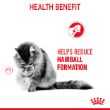 70322 - Royal Canin Feline Intense