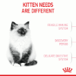 70326 - Royal Canin Kitten