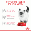 46036 - Royal Canin Kitten Gravy