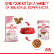 46036 - Royal Canin Kitten Gravy