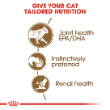 46038 - Royal Canin Feline