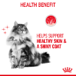 48229 - Royal Canin Feline