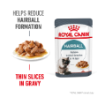 49331 - Royal Canin Feline