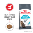 49460 - Royal Canin Feline