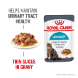 49461 - Royal Canin Feline