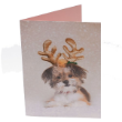 49860 - RSPCA Christmas Cards