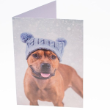 49860 - RSPCA Christmas Cards
