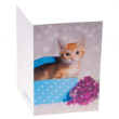 49862 - RSPCA Christmas Cards