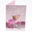 49862 - RSPCA Christmas Cards