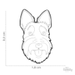 50063 - Pet ID Tag Friends