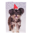 51247 - RSPCA Christmas Cards
