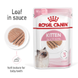 52251 - Royal Canin