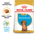 52530 - Royal Canin Dog