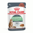 53091 - Royal Canin Feline