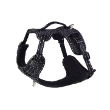 72189 - Explore Dog Harness