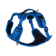 72190 - Explore Dog Harness Blue