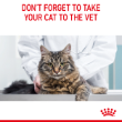 72195 - Royal Canin Feline