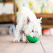53358 - Lickimat Wobble For Dogs
