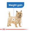 53647 - Royal Canin Dog