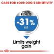 53647 - Royal Canin Dog