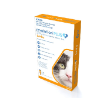 72302 - Revolution Plus for Medium