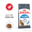 54148 - Royal Canin Feline