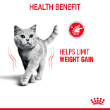 54148 - Royal Canin Feline