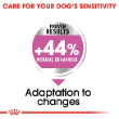 54353 - Royal Canin Dog