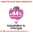 54355 - Royal Canin Dog