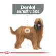 54356 - Royal Canin Dog