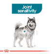 54359 - Royal Canin Dog