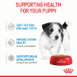 54506 - Royal Canin Mini Puppy