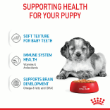 54507 - Royal Canin Medium Puppy