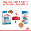 54507 - Royal Canin Medium Puppy