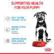 54508 - Royal Canin Maxi Puppy