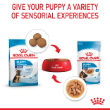 54508 - Royal Canin Maxi Puppy