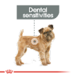 54864 - Royal Canin Dog