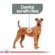 54865 - Royal Canin Dog