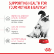 72737 - Royal Canin Feline Mother Baby