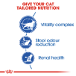 72740 - Royal Canin Feline Indoor 7+