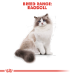 72741 - Royal Canin Feline Ragdoll