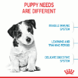 56689 - Royal Canin Dog