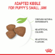 56689 - Royal Canin Dog