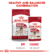 8019 - Box of Royal Canin Medium