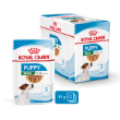 8015 - Box of Royal Canin Mini Puppy