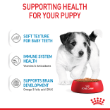 8015 - Box of Royal Canin Mini Puppy